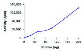 PCTK2 (CDK17)/CYCLINY, Active PRECISIO® Kinase, recombinant