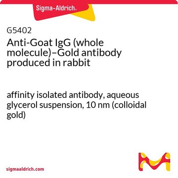 Anti-Goat IgG (whole molecule)–Gold antibody produced in rabbit affinity isolated antibody, aqueous glycerol suspension, 10&#160;nm (colloidal gold)