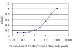 Monoclonal Anti-SLC1A2 antibody produced in mouse clone 4G8, purified immunoglobulin, buffered aqueous solution