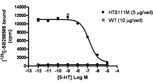 ChemiSCREEN Membrane Preparation Recombinant Human 5-HT6 Serotonin Receptor Human 5-HT6 GPCR membrane preparation for Radioligand binding Assays &amp; GTPγS binding.