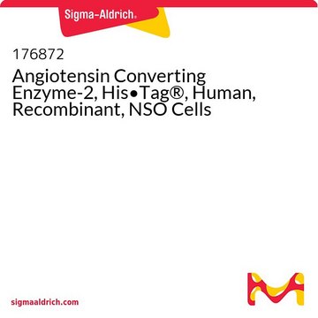 Angiotensin Converting Enzyme-2, His&#8226;Tag&#174;, Human, Recombinant, NSO Cells