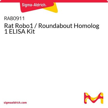 大鼠Robo1 / Roundabout Homolog 1 ELISA试剂盒