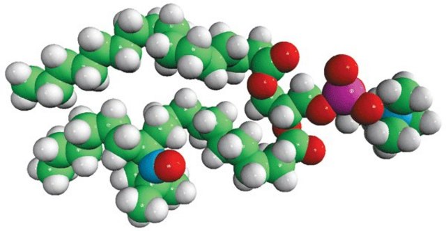 16:0-12 Doxyl PC Avanti Polar Lipids 810600P, powder