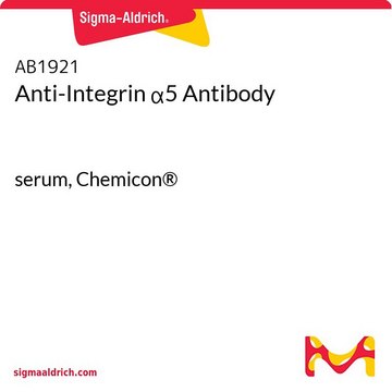 Anti-Integrin &#945;5 Antibody serum, Chemicon&#174;