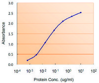 Anti-DGAT2 antibody produced in goat affinity isolated antibody, buffered aqueous solution
