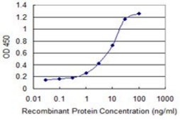 Monoclonal Anti-NUBP1, (C-terminal) antibody produced in mouse clone 2B11, purified immunoglobulin, buffered aqueous solution