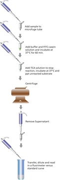 蛋白酶检测试剂盒（荧光法） high sensitivity assay