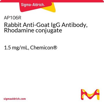 Rabbit Anti-Goat IgG Antibody, Rhodamine conjugate 1.5&#160;mg/mL, Chemicon&#174;