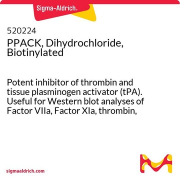 PPACK, Dihydrochloride, Biotinylated Potent inhibitor of thrombin and tissue plasminogen activator (tPA). Useful for Western blot analyses of Factor VIIa, Factor XIa, thrombin, and tPA.