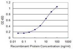 Monoclonal Anti-BAALC, (C-terminal) antibody produced in mouse clone 2A2, purified immunoglobulin, buffered aqueous solution