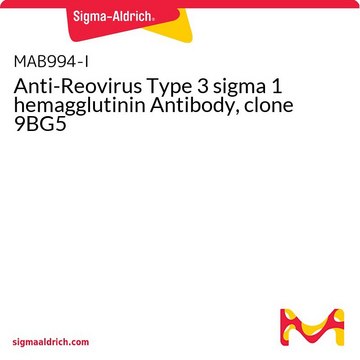 Anti-Reovirus Type 3 sigma 1 hemagglutinin Antibody, clone 9BG5