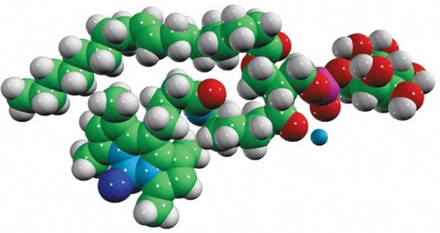 TopFluor&#174; PI Avanti Polar Lipids 810187P, powder