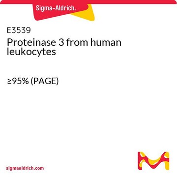 Proteinase&#160;3 from human leukocytes &#8805;95% (PAGE)