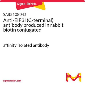 Anti-EIF3I (C-terminal) antibody produced in rabbit biotin conjugated affinity isolated antibody