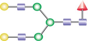 NA2F Glycan from Porcine, ≥90% (HPLC)