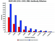 Anti-RNF149 (231-245) antibody produced in rabbit IgG fraction of antiserum, buffered aqueous solution