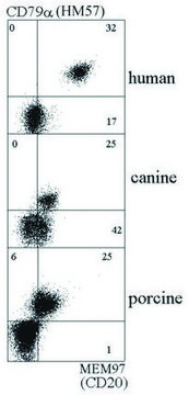 Monoclonal Anti-CD20, azide free antibody produced in mouse clone MEM-97, purified immunoglobulin, buffered aqueous solution