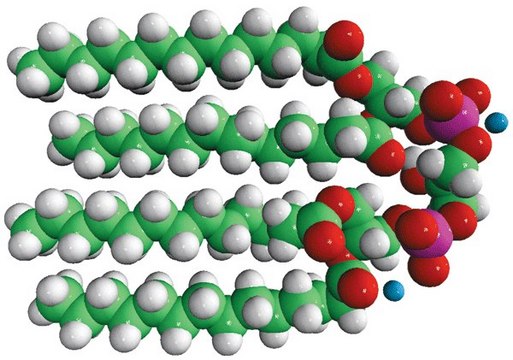 14:0 Cardiolipin (ammonium salt) 1&#8242;,3&#8242;-bis[1,2-dimyristoyl-sn-glycero-3-phospho]-glycerol (ammonium salt), chloroform