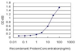 Monoclonal Anti-SART2 antibody produced in mouse clone 6D4, purified immunoglobulin, buffered aqueous solution