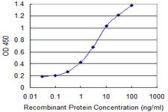 Monoclonal Anti-SYNCRIP antibody produced in mouse clone 2E10, purified immunoglobulin, buffered aqueous solution