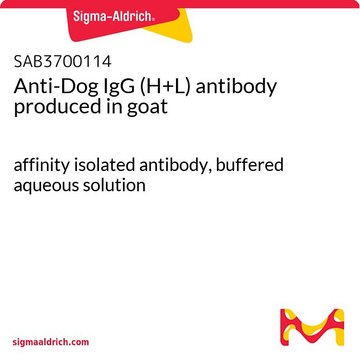 Anti-Dog IgG (H+L) antibody produced in goat affinity isolated antibody, buffered aqueous solution