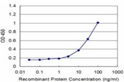 Monoclonal Anti-TMPRSS2, (C-terminal) antibody produced in mouse clone 2F4, purified immunoglobulin, buffered aqueous solution