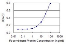 Monoclonal Anti-IER2 antibody produced in mouse clone 3E2, purified immunoglobulin, buffered aqueous solution