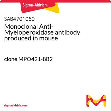 Monoclonal Anti-Myeloperoxidase antibody produced in mouse clone MPO421-8B2