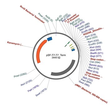 PSF-T7-T7 TERM - T7 SINGLE TERMINATOR PLASMID plasmid vector for molecular cloning