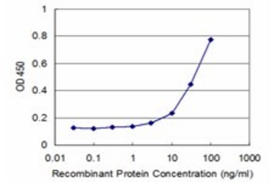 Monoclonal Anti-BMPR2 antibody produced in mouse clone 4A2, purified immunoglobulin, buffered aqueous solution