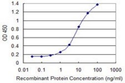 Monoclonal Anti-GRID1 antibody produced in mouse clone 3A8, purified immunoglobulin, buffered aqueous solution