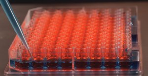 Nunc® Edge 2.0 96-well Plate Nunclon® Delta surface, polystyrene, sterile, without lid, clear, case of 50 ea