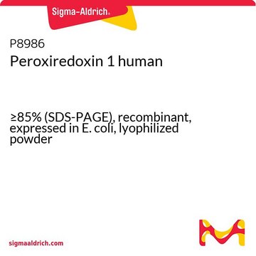 Peroxiredoxin 1 human &#8805;85% (SDS-PAGE), recombinant, expressed in E. coli, lyophilized powder