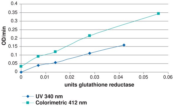 谷胱甘肽还原酶检测试剂盒 Sufficient for 100 colorimetric tests