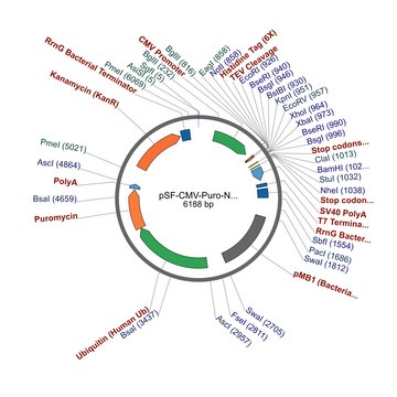 PSF-CMV-PURO-NH2-6HIS-TEV - N-TERMINAL 6 HIS TAG MAMMALIAN PLASMID plasmid vector for molecular cloning