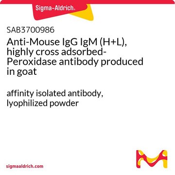 Anti-Mouse IgG IgM (H+L), highly cross adsorbed-Peroxidase antibody produced in goat affinity isolated antibody, lyophilized powder