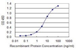 Monoclonal Anti-RNF123 antibody produced in mouse clone 3F8, purified immunoglobulin, buffered aqueous solution