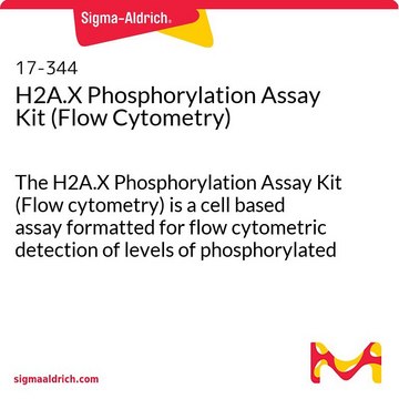 H2A.X磷酸化检测试剂盒（流式细胞术） The H2A.X Phosphorylation Assay Kit (Flow cytometry) is a cell based assay formatted for flow cytometric detection of levels of phosphorylated Histone H2A.X.