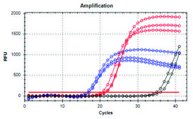 GenElute™ Stool DNA Isolation Kit
