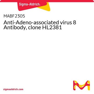 Anti-Adeno-associated virus 8 Antibody, clone HL2381