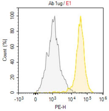 Anti-CD35 Antibody, clone E11