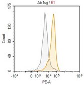 Anti-IL-8 Antibody, clone 1D20 ZooMAb® Rabbit Monoclonal recombinant, expressed in HEK 293 cells