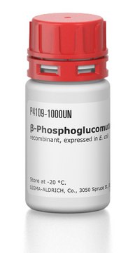 &#946;-Phosphoglucomutase from Lactococcus sp. recombinant, expressed in E. coli