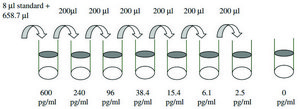 Human I-TAC / CXCL11 ELISA Kit for serum, plasma, cell culture supernatant and urine