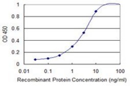 Monoclonal Anti-CGB, (C-terminal) antibody produced in mouse clone 3B4, purified immunoglobulin, buffered aqueous solution