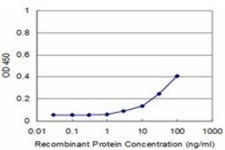 Monoclonal Anti-GNA13 antibody produced in mouse clone 6D8-E4, purified immunoglobulin, buffered aqueous solution