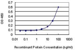 Monoclonal Anti-GATA1 antibody produced in mouse clone 3G6, purified immunoglobulin, buffered aqueous solution