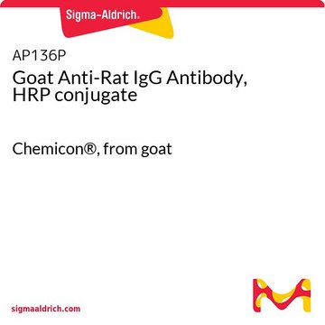 Goat Anti-Rat IgG Antibody, HRP conjugate Chemicon&#174;, from goat