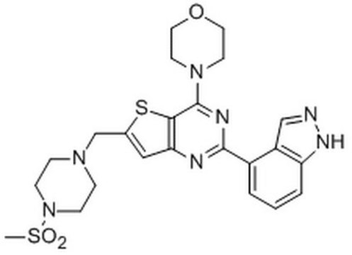 PI 3-K Inhibitor XXI, GDC-0941