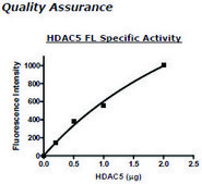HDAC-5 full length human recombinant, expressed in baculovirus infected insect cells, ≥10% (SDS-PAGE)